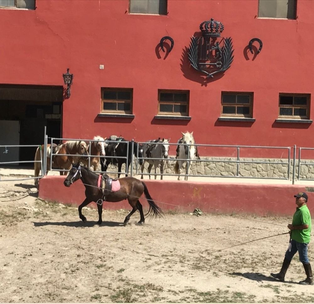 Caballos frente a la cuadra roja de la escuela en Vielha