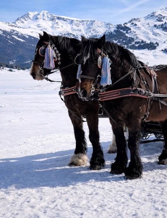 Trineos con caballos en el valle de Arán