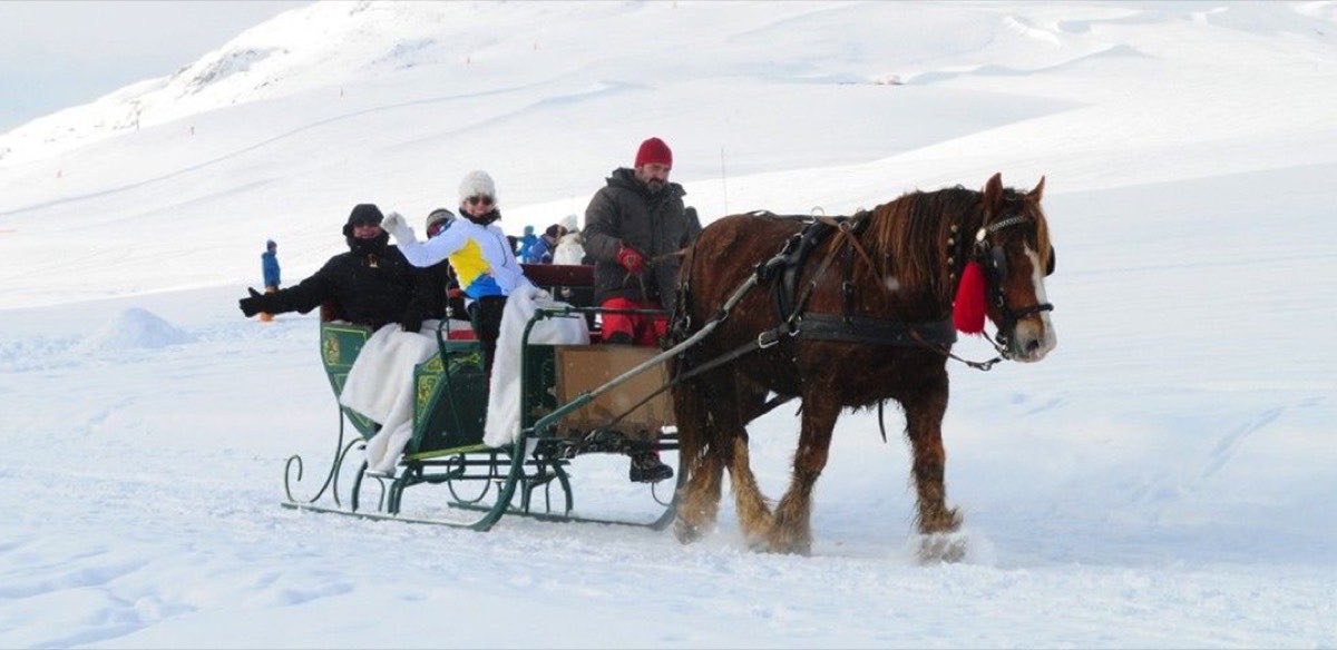 Trineos con caballos en el valle de Arán