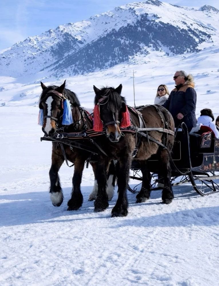 Trineos con caballos